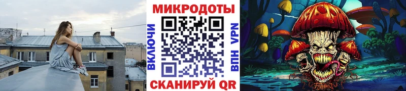 KRAKEN зеркало  Моздок  Галлюциногенные грибы MAGIC MUSHROOMS 